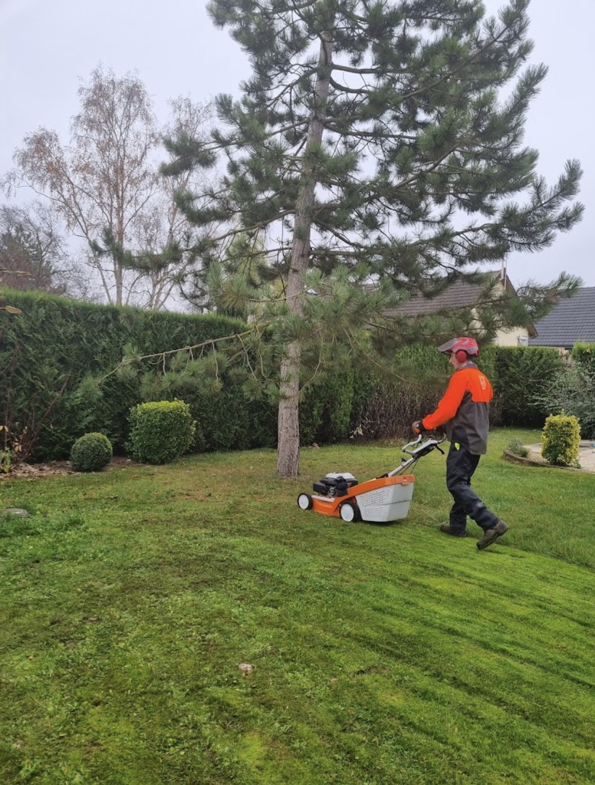 Débroussaillage — 1