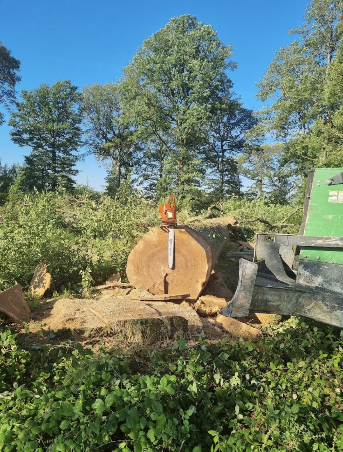 Élagage & Abattage — 1