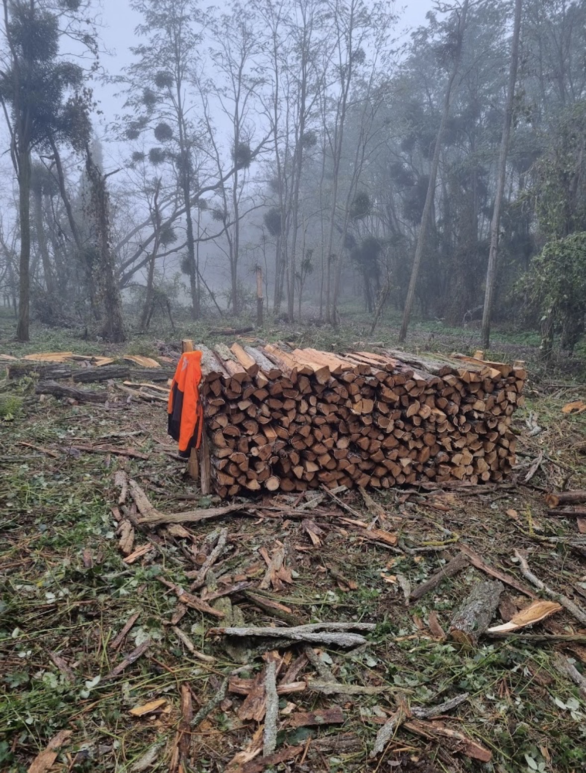 Stock de bois de chauffage