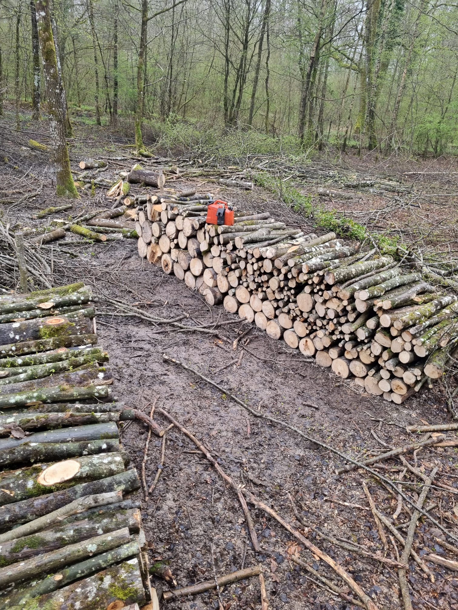 Bois de chauffage — 6