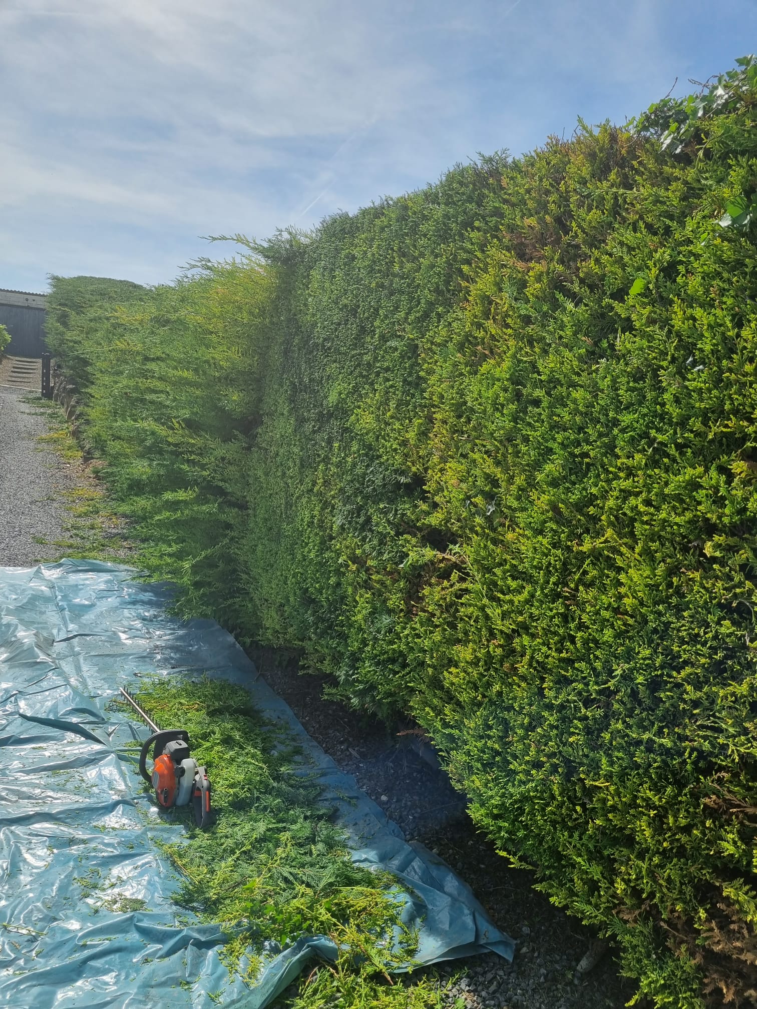 Chantier de débroussaillage