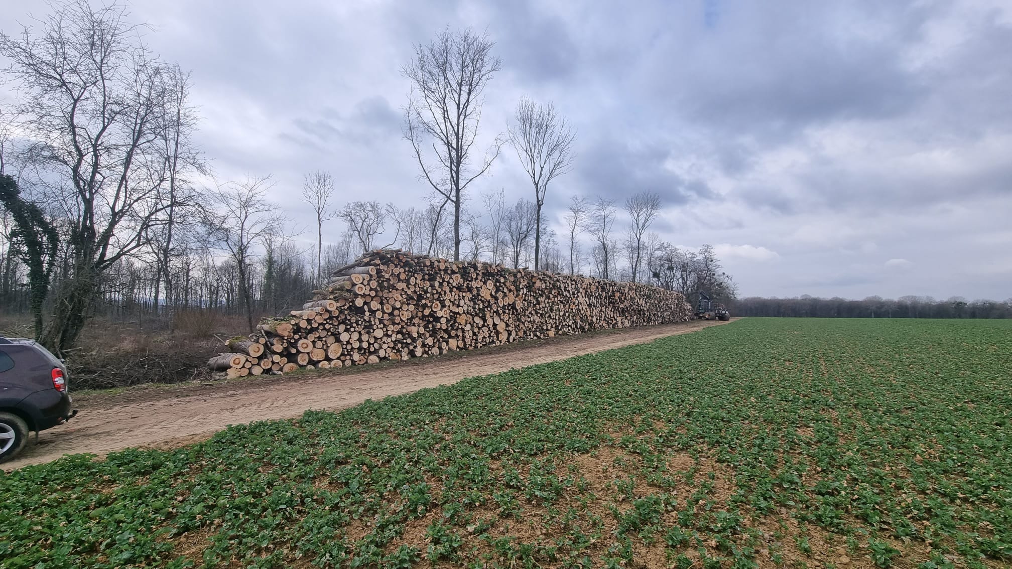 Bois de chauffage — 2