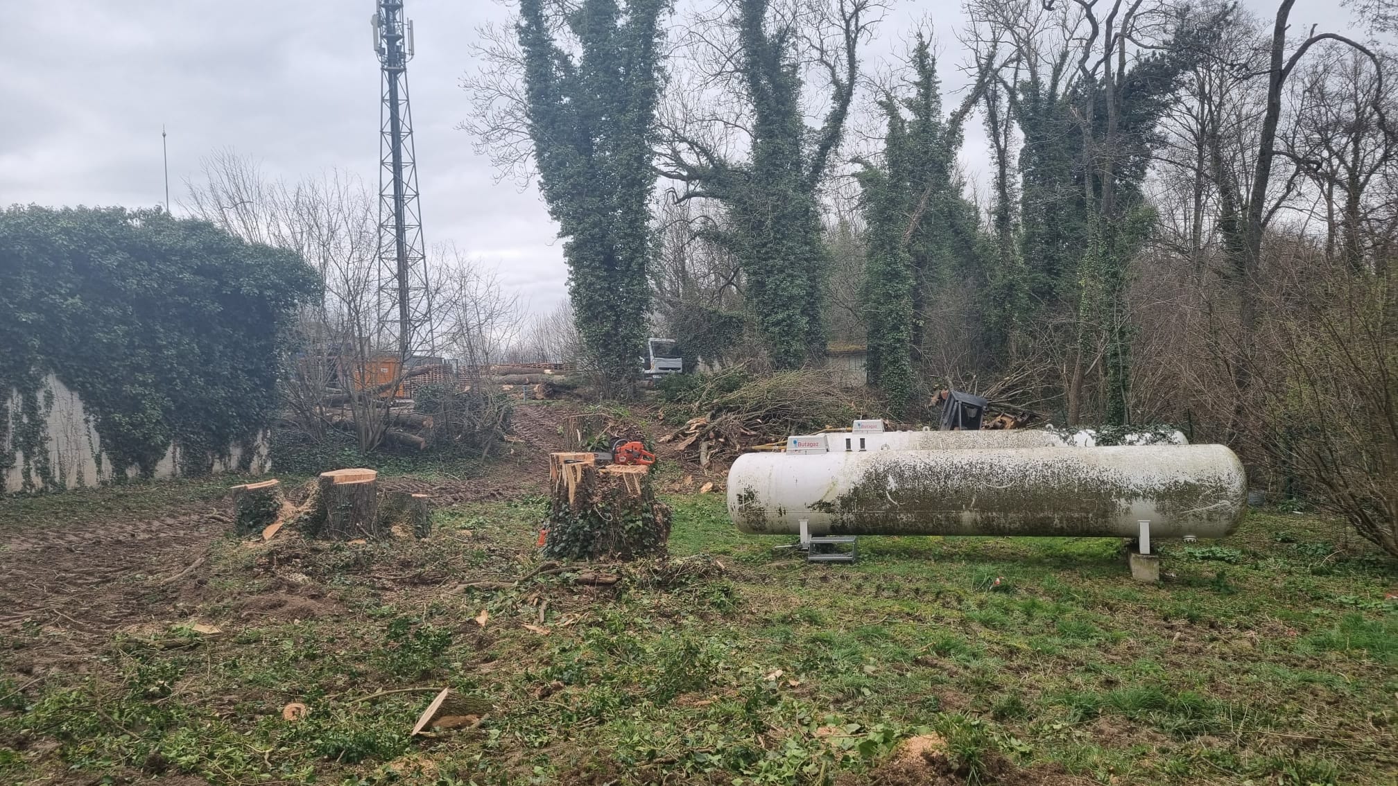 Élagage & Abattage — 9