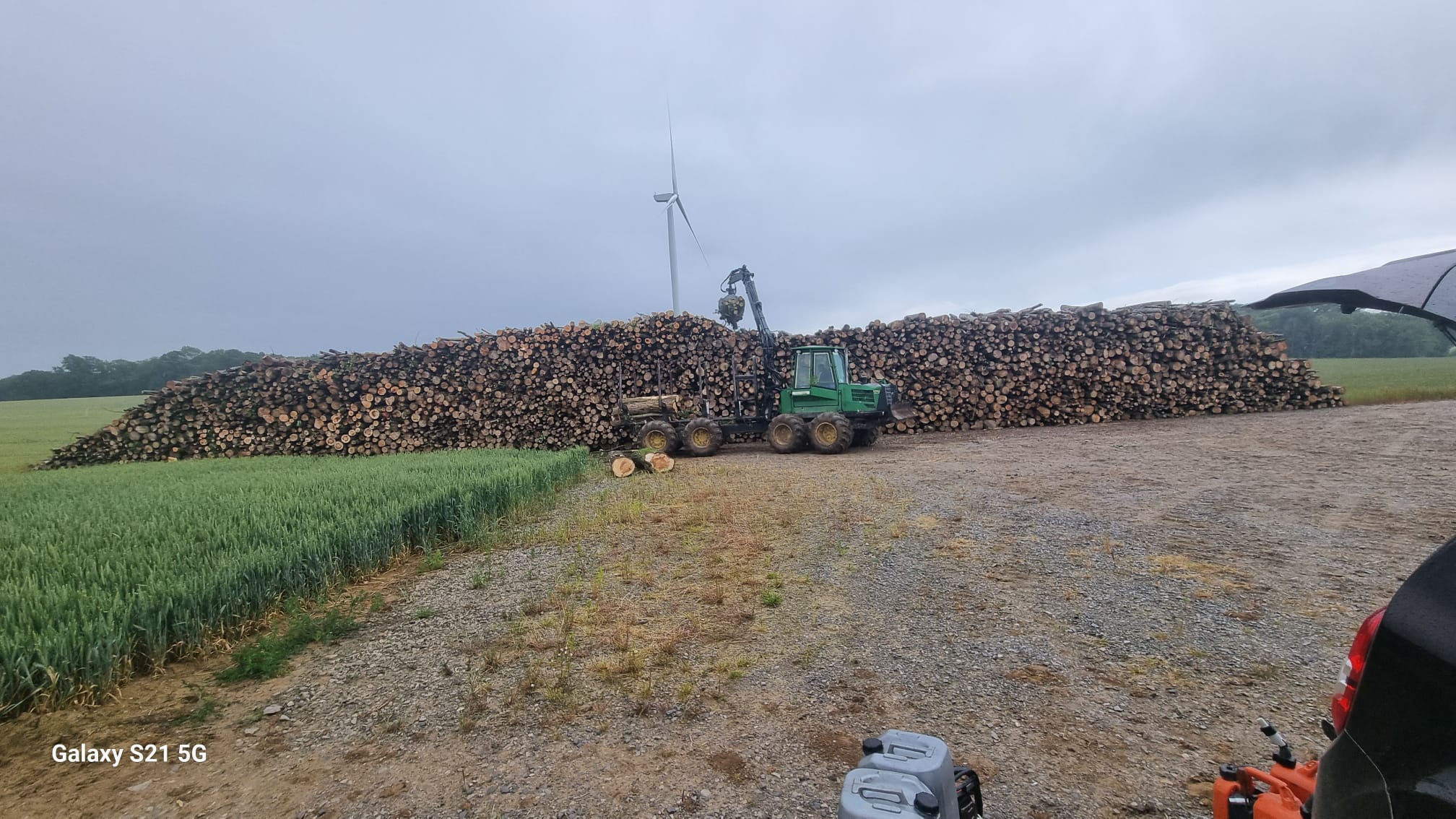 Élagage & Abattage — 10