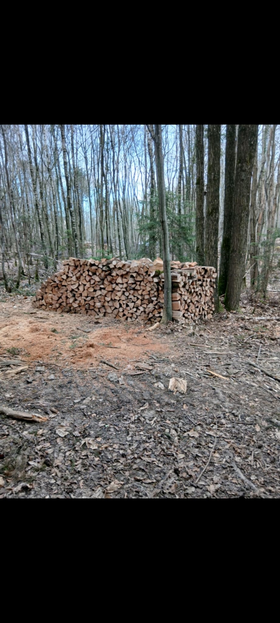 Bois de chauffage — 5